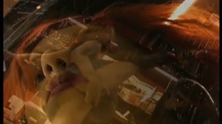 Ashley Robbins - Gun Shop