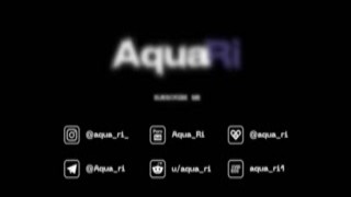 Aqua_Ri - PornHub no.03
