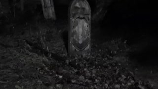 HORROR PORN – Walking Zombies