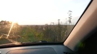 Alisa Lovely - Babe Blowjob Dick Strangerand Hard Doggy Sex in Field