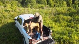 Baree Swamp - Poppi 02