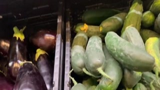 Ivi Roses - Fucked Cucumber Left in Supermarket