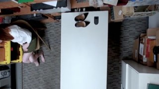 Shoplifter strips then blowjobs officer
