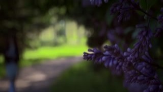 Handsome guy analyzes slim girl he met earlier in the park