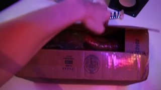 Daisy Deep - Unboxing Mr. Hankeys HungerFF, Hentai and Davys Tendrils Dildos