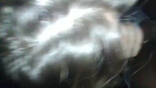 Real Homemade Interracial - Blowjob - 31