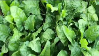 Yuiwoo - PornHub #02 2