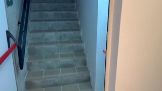 Silvana Lee - Big Ass Latina MILF Silvana Lee Seduces the Hot Fitness Neighbor and he Fucks her with his Big Cock