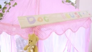 Collared, Domination, and Leashed