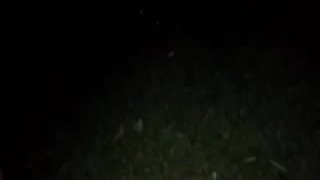 renatasurtada - Wife goes to the park without panties and pisses in the bushes!