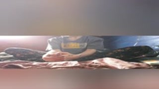 
you must replace only one word from the sentence butterflies
### Response