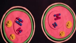 anime fuck stop motion plasticine puppy