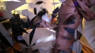 The cat chased the blue ball