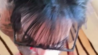 German big tits tattoo milf upload a home amateur porn