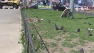 One day - naked girl at the beach