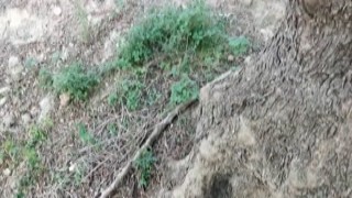 Mrs Robinson - Giving him a DeepThroat Blowjob along the Highway