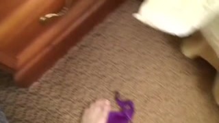 ExploitedTeens - Haley Hollister