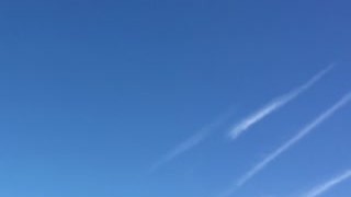 Linda del Sol - Masturbation between poppies