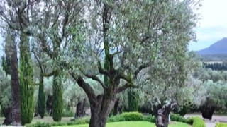 Watch4Beauty - Wikki Kee I Love The Sea Air Backstage