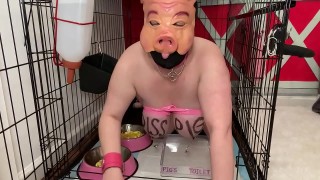 fuckpig porn justafilthycunt humiliating degradation pig pissing caged piss drinking and eating from bowls