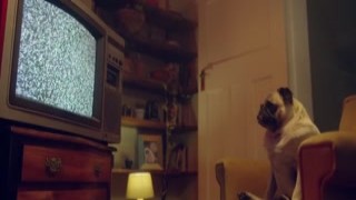 The French connection with Maya Rose