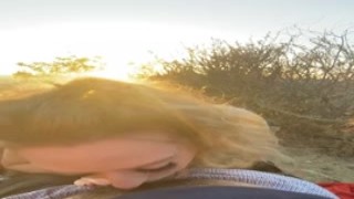 Blowjob By The Hollywood Signme And My Babygirl