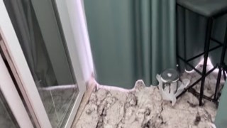 Arisha Mills - Can I Fuck you before Streaming on BongaCams