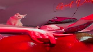 Queen Tahshaar - OnlyFans #109