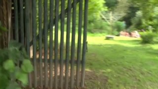 Czech Garden Party: Perverse Orgy