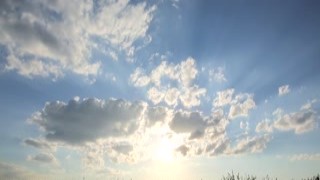 Lady Dee - Pee in Pink in HD