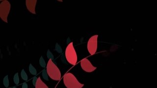 Cosmid - Lymia Marks