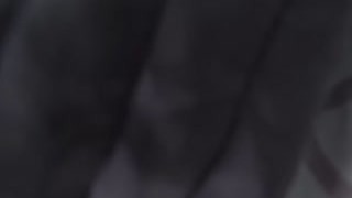 Dont fucking talk let me suck your dick