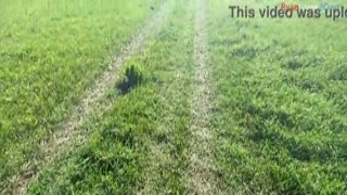 fall season is here so let's masturbate outdoors part-1