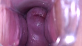 Shawna Lenee - Break on Through to the Other Side