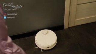 Owl Crystal - Quick blowjob before stepmom arrives - OwlCrystal