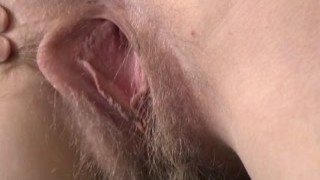 Wearehairy - Elza Mia Brown Sofa Pink Top