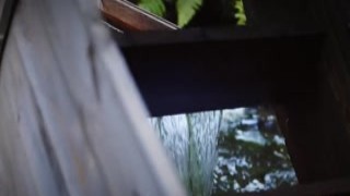 MollyRedWolf - Elden Ring. Melina take your cock to the next level with her tight pussy