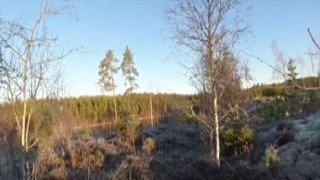 ImplantBoy - PornHub #31