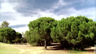 SapphicErotica - Lola, Tiffany.Horny Trespassers