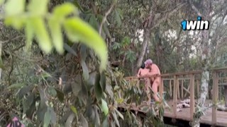 Amanda Rabbit - Beautiful Busty has Sex with a Stranger in a Cabin in the Woods