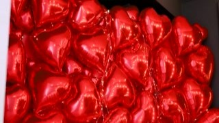 Cosmid - Shawna Grant 2