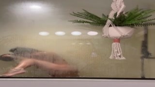 Asa Akira - OnlyFans #223