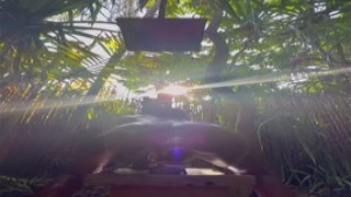 Queen Tahshaar - OnlyFans #034