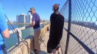 AmWednesday - dresssed like a devil